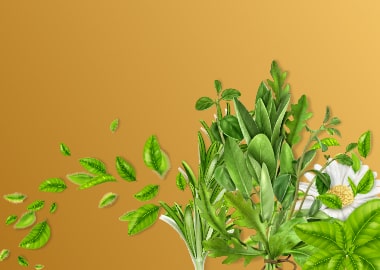 Herbs