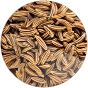 Caraway