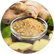 Ginger