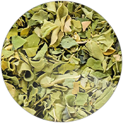 Moringa