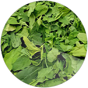 Parsley