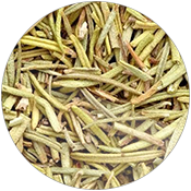 Rosemary